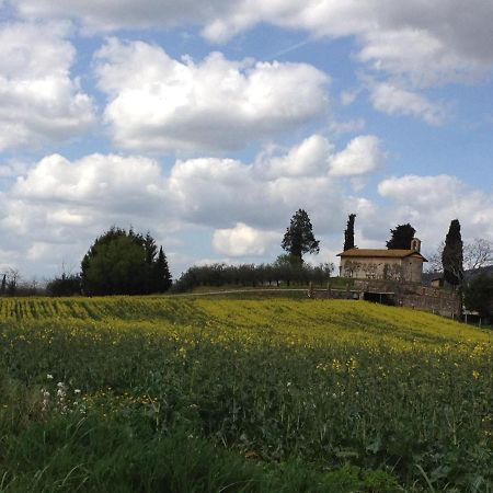 Gli Ulivi D'Argento Villa Assisi Exterior photo